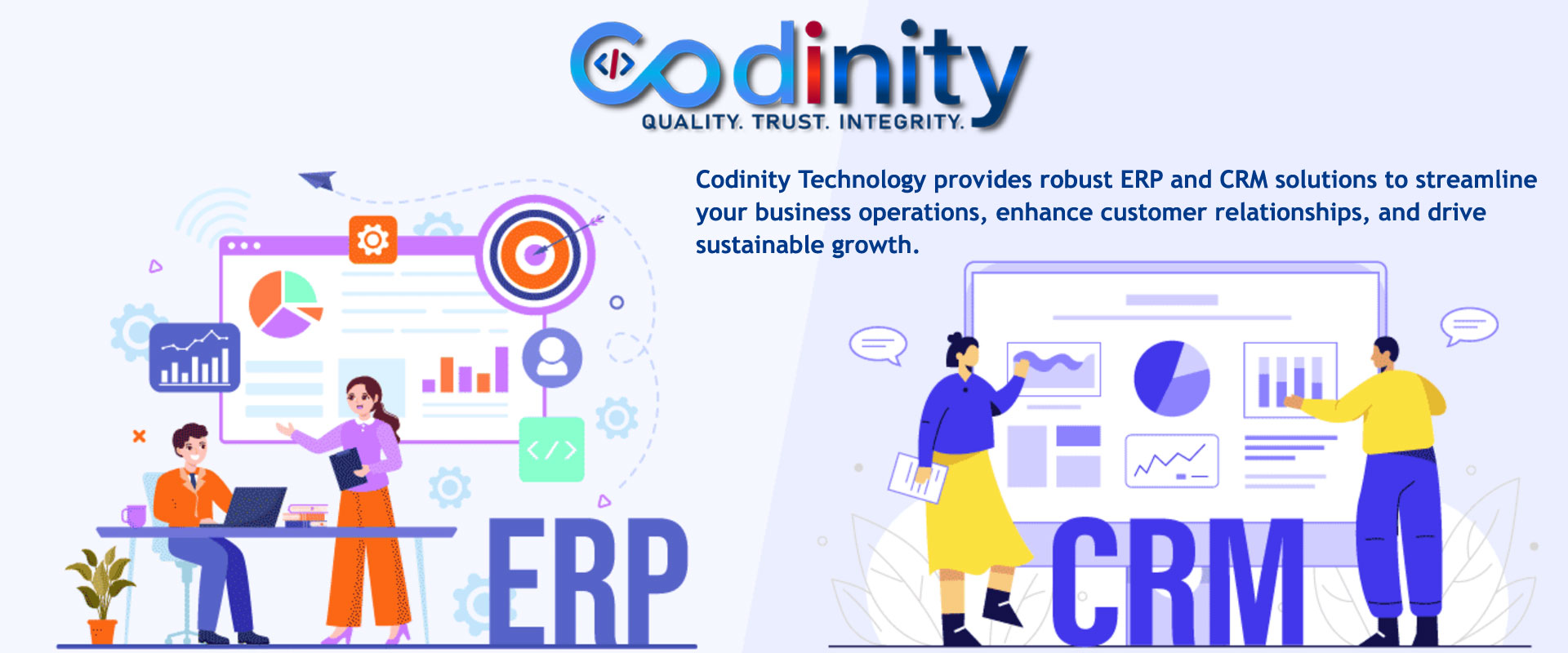 ERP & CRM Solutions Service